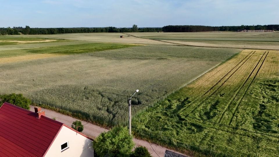 Działka rolna Reńsko