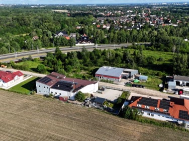 Lokal Łany
