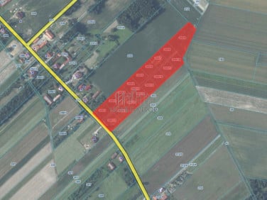 Działka Teodorów