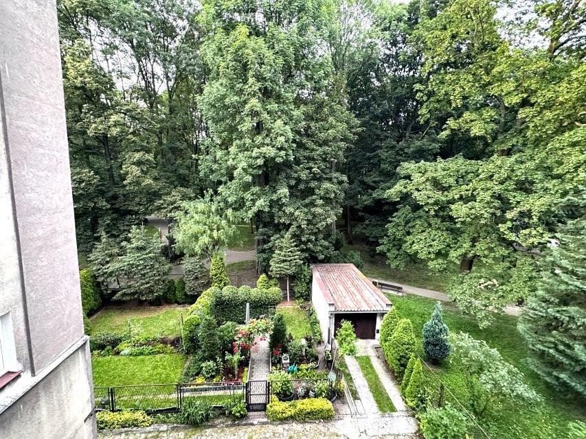 Zdjęcie 2
