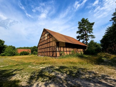 Dom Kosarzyn