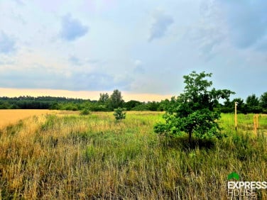 Działka budowlana Gorzelin