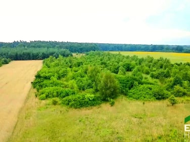 Działka budowlana Gorzelin