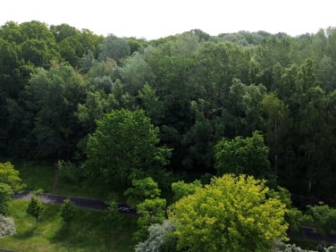 Działka budowlana Poznań