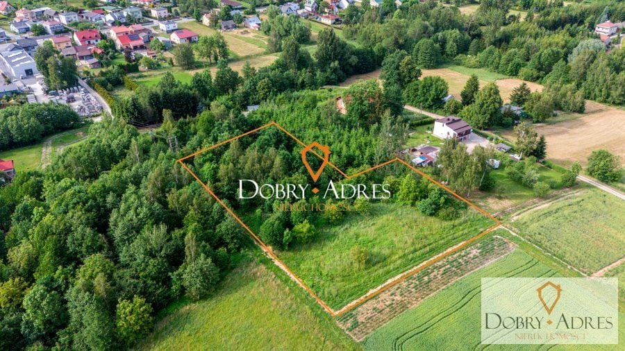 Zdjęcie 3