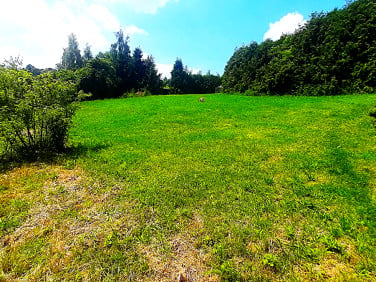 Działka budowlana Michałowice sprzedam