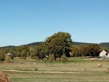 Działka budowlana Gorzeszów