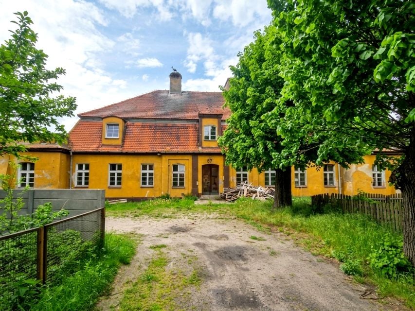 Lokal Głuponie
