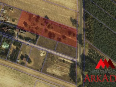 Pusta działka Okna