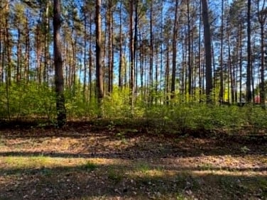 Działka budowlana Szerominek