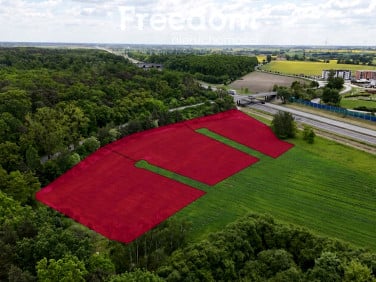 Działka budowlana Września