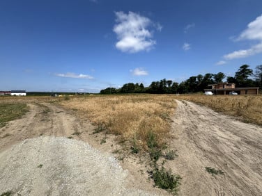 Działka budowlana Chojęcin-Szum