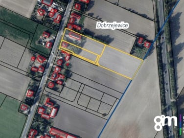 Dom Dobrzejewice