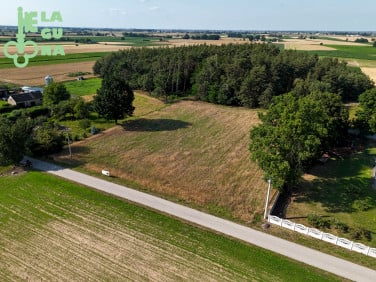 Działka rolna Marianów
