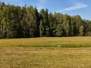 Działka Walne