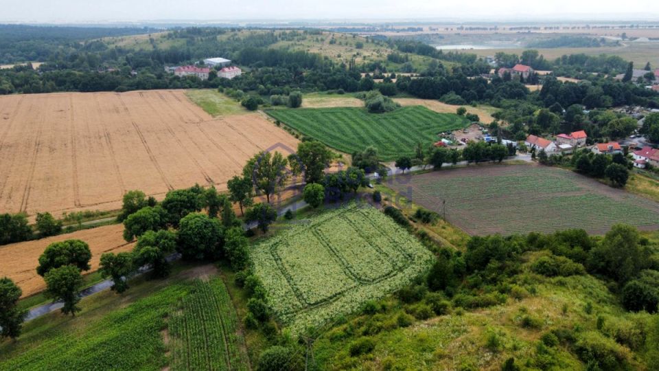 Zdjęcie 3