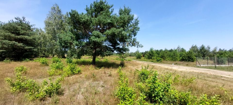 Działka Jesionka