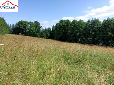 Działka inna Bogaczewo