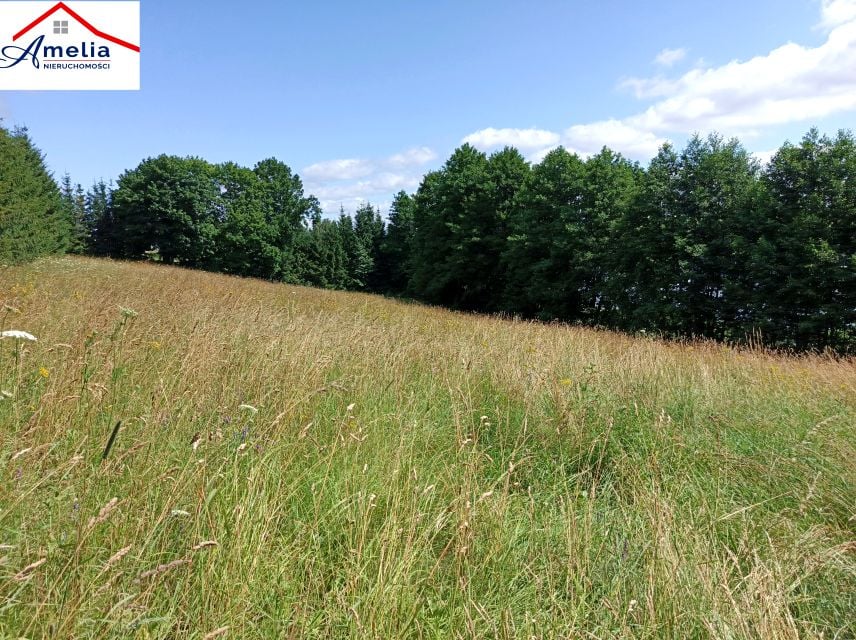 Działka inna Bogaczewo