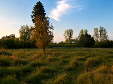 Działka Nawrocko
