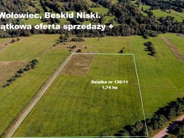 Działka siedliskowa Wołowiec