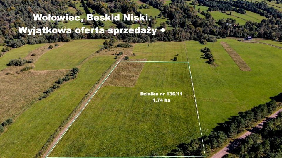 Działka siedliskowa Wołowiec