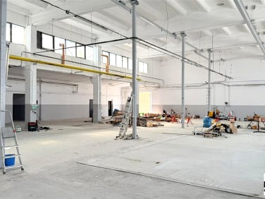 Lokal Wasilków