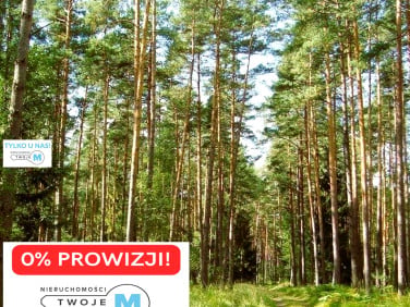 Działka leśna Chmielnik
