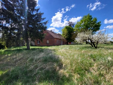 Dom Dębionek sprzedaż
