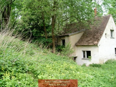 Działka inna Romanów