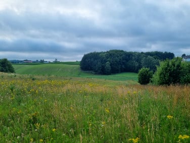 Działka budowlana Nowa Wieś Przywidzka