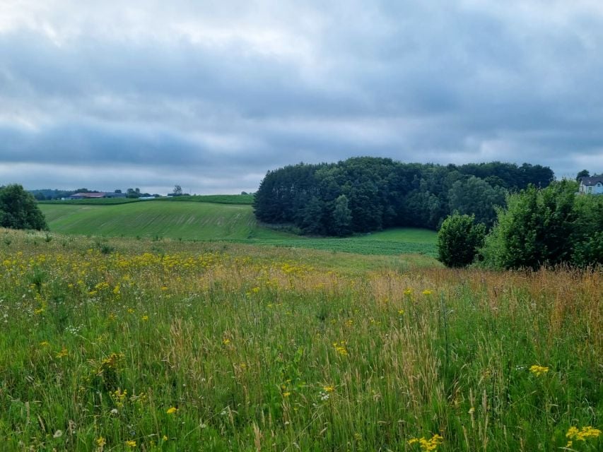 Działka budowlana Nowa Wieś Przywidzka