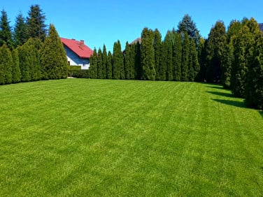 Działka Kopanka