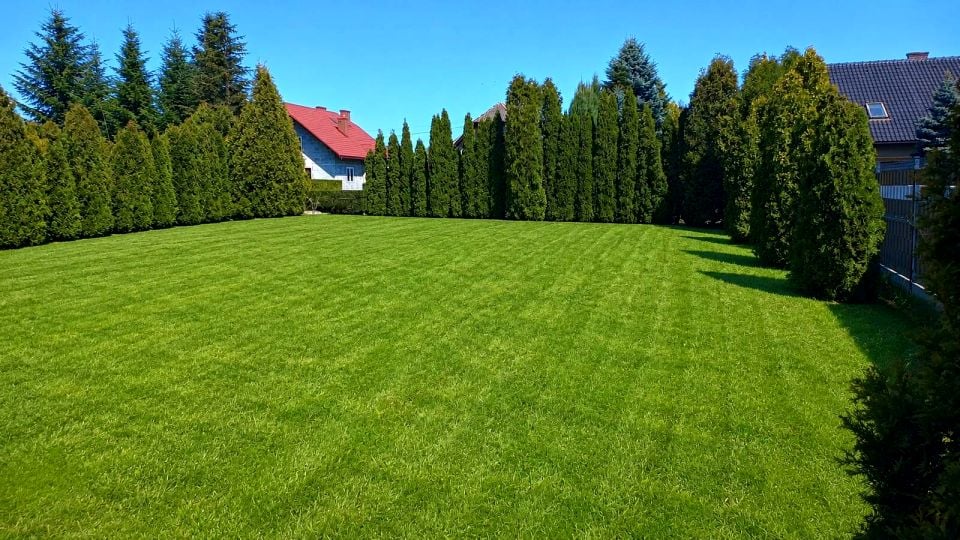 Działka Kopanka