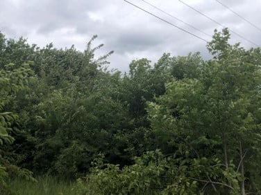 Działka budowlana Grodzisk Mazowiecki sprzedam