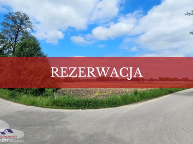 Działka Dąbrowica
