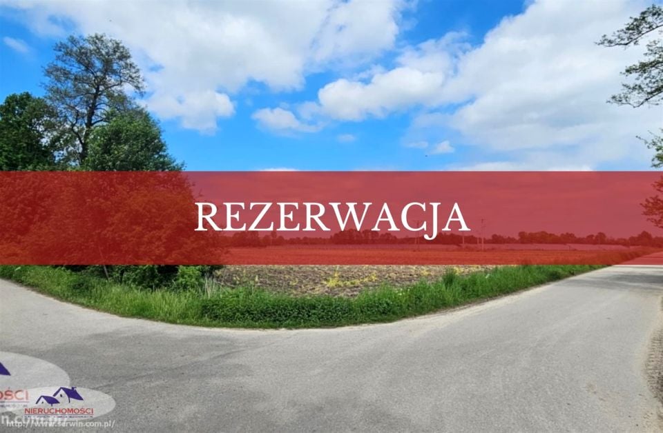 Działka Dąbrowica
