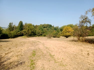 Działka budowlana Marcyporęba