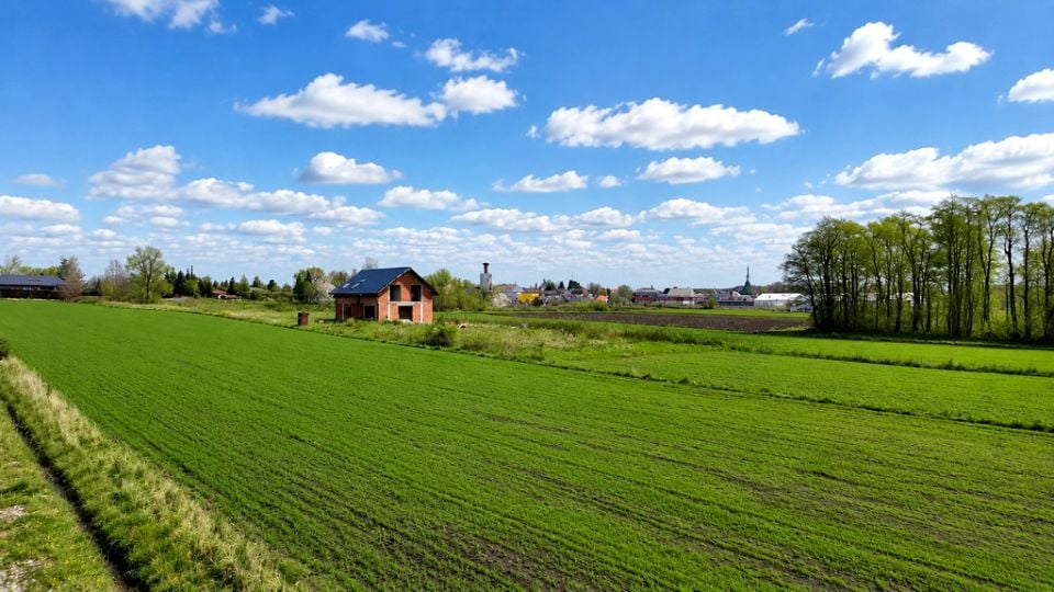 Zdjęcie 3