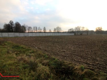 Działka budowlana Grudna