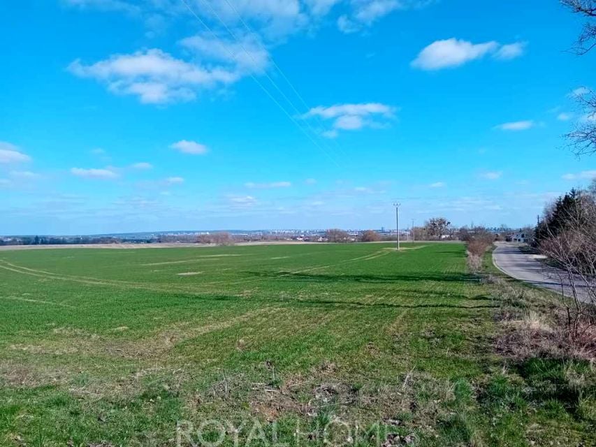 Zdjęcie 3