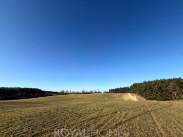 Działka budowlana Buk