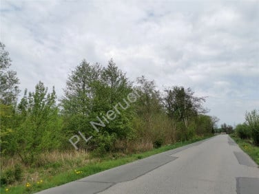 Działka przemysłowa Kłudno Nowe