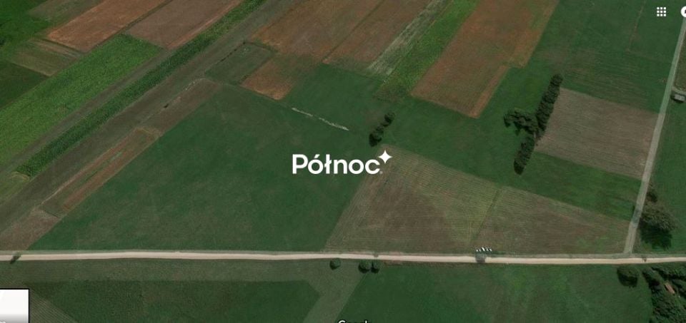 Zdjęcie 4
