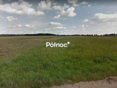 Działka przy lesie