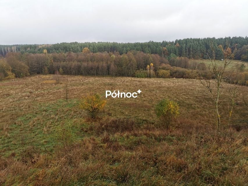 Działka Studzianki