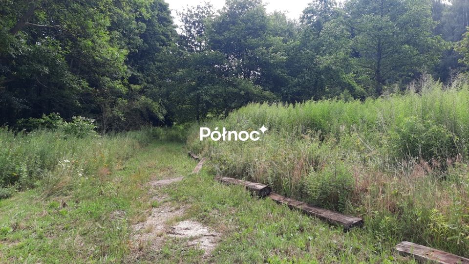 Zdjęcie 3