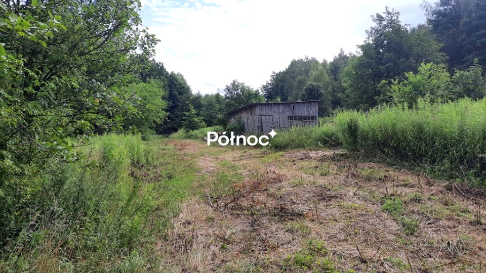 Zdjęcie 2