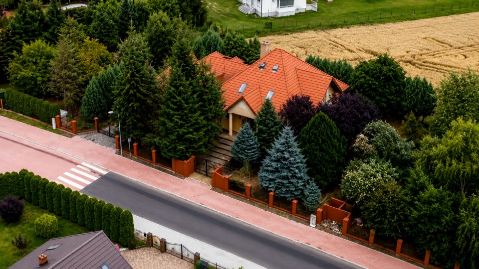 Zdjęcie 3