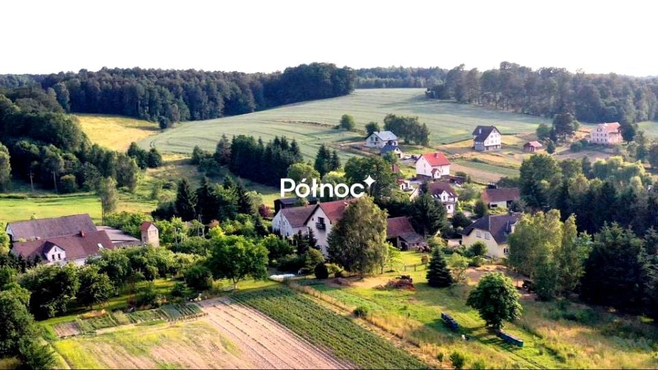 Zdjęcie 3